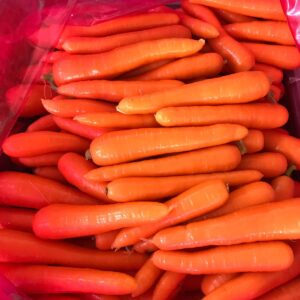 wholesale Carrots supplier online