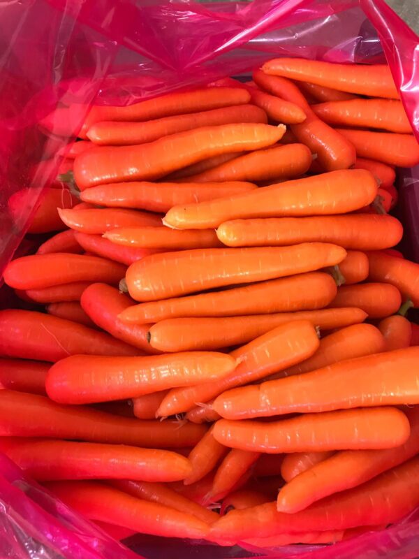 wholesale Carrots supplier online