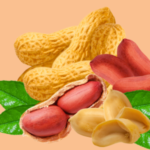 wholesale PEANUTS supplier online