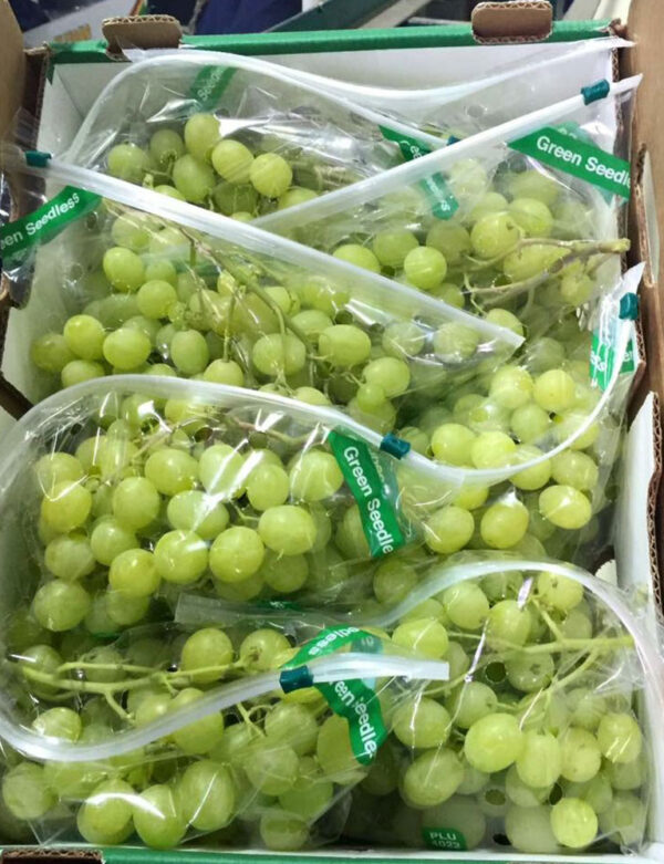 wholesale Grapes supplier online