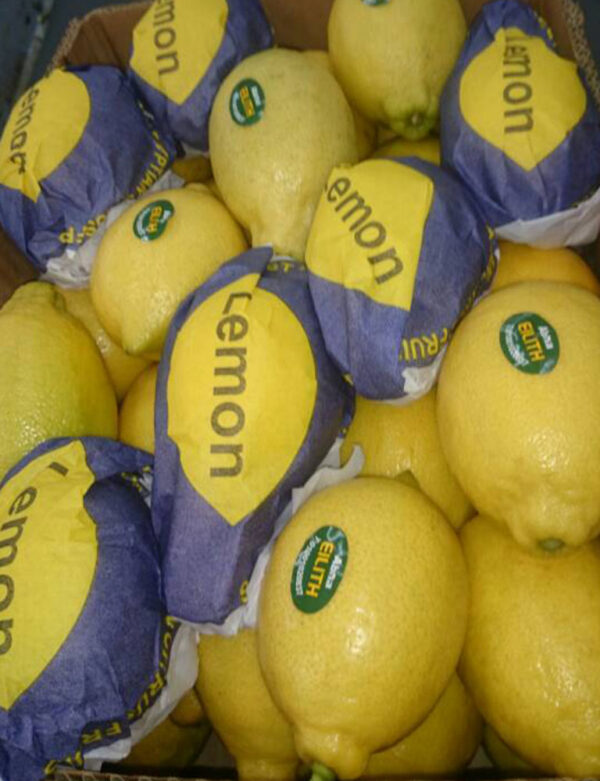 Lemons for sale online