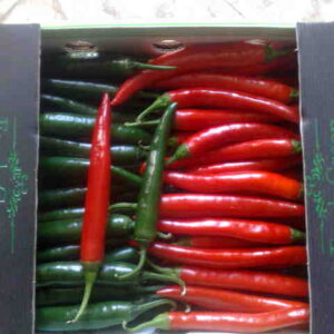 Fresh pepper for sale online