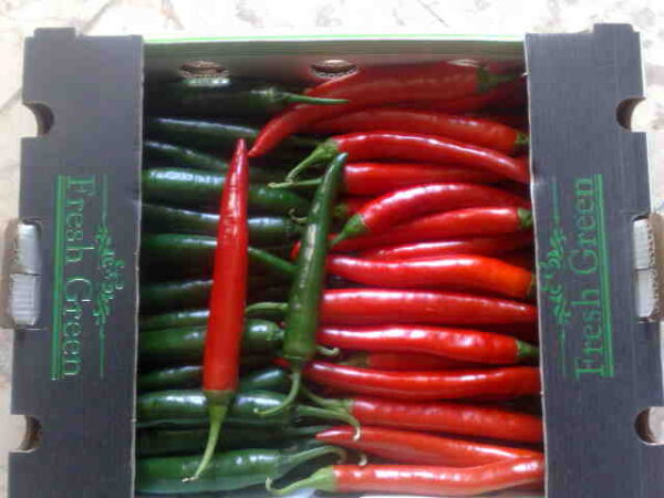 Fresh pepper for sale online