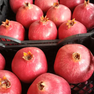 Pomegranates for sale online