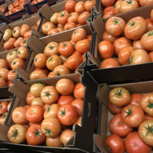 Buy Fresh Tomatoes online