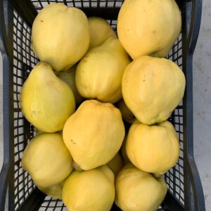 BUY QUINCE ONLINE