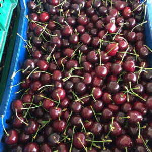 wholesale Cherries supplier online