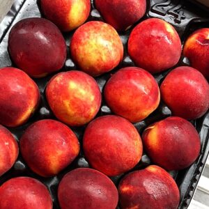 Wholesale Nectarines supplier online