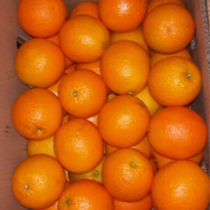 Oranges for sale online