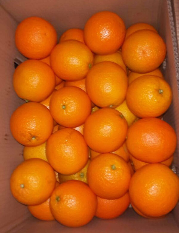 Oranges for sale online