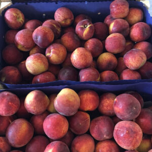 Wholesale peaches supplier online