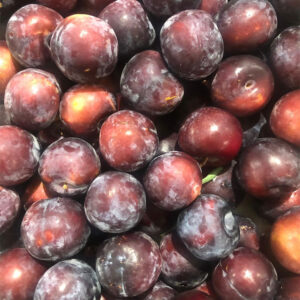 wholesale plums supplier online