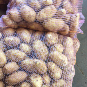 wholesale Potatoes supplier online