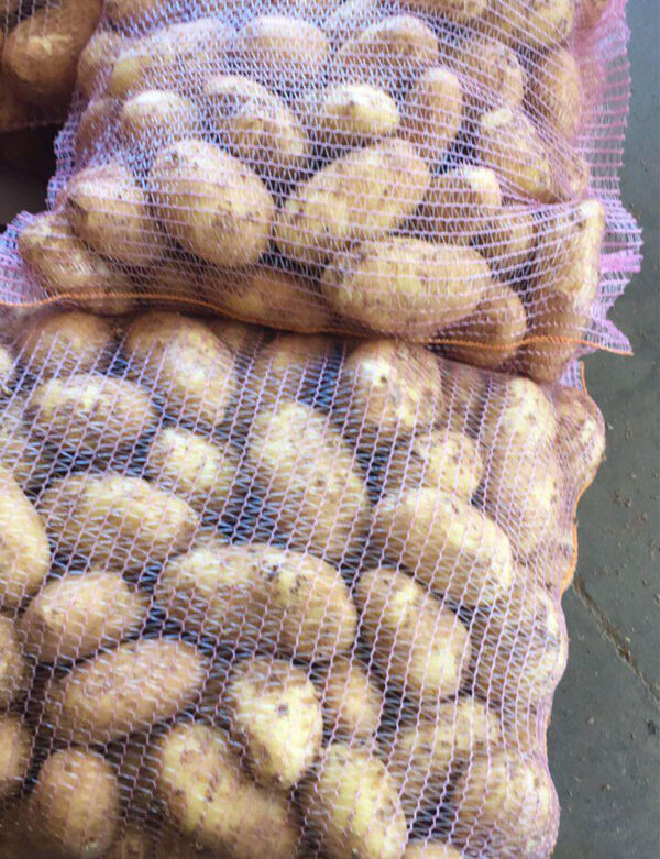 wholesale Potatoes supplier online