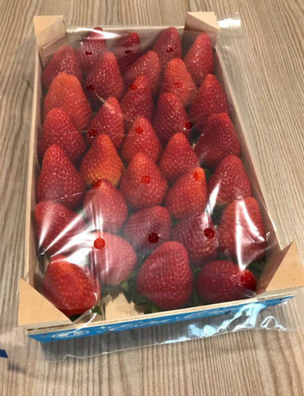 Wholesale Strawberry supplier online