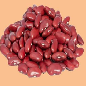 wholesale RED KIDNEY BEANS supplier online