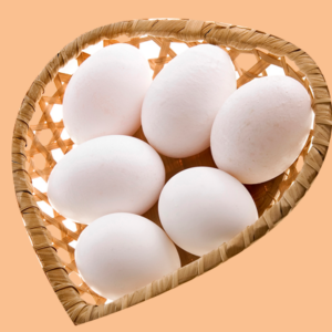 wholesale CHICKEN EGGS supplier online