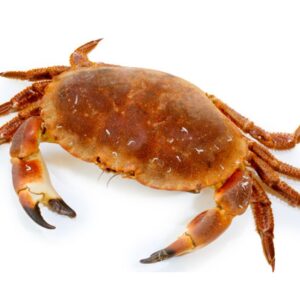 Buy Crab online at wholesale