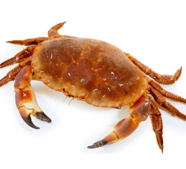 Buy Crab online at wholesale