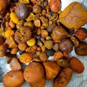 buy OX Gallstones online wholesale supplier