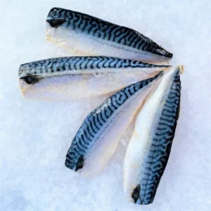 SABA-MACKEREL Wholesale Supplier