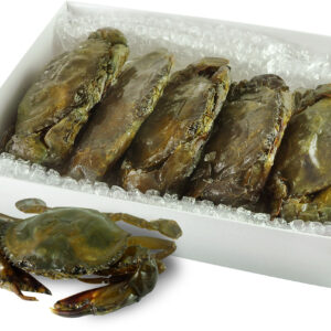 Frozen Soft Shell Mud Crab Wholesale Supplier 