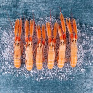 Langoustine Wholesale Supplier Online