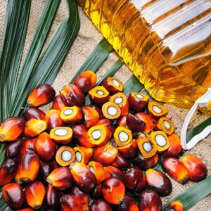 wholesale Palm Oil supplier online